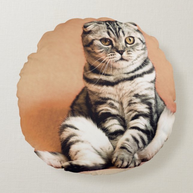 Almofada Redonda Gatinho Bonito Desenterrado (Frente)