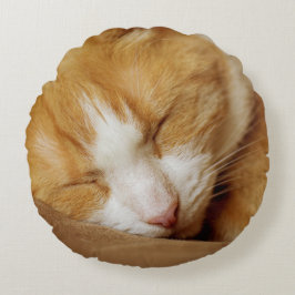 Almofada Redonda Gatinho Dormindo