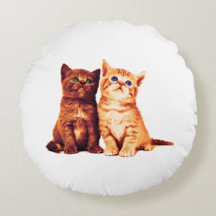 Almofada Redonda Gatinhos irmãos, dois gatos bonitos