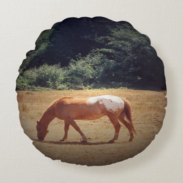 Almofada Redonda Grazing Palomino.... (Frente)