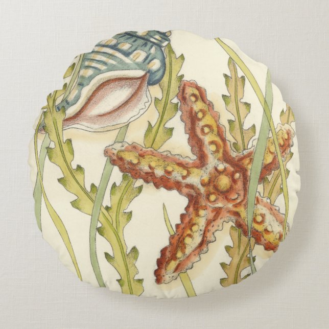 Almofada Redonda Grupo de Shell Multicolores (Frente)