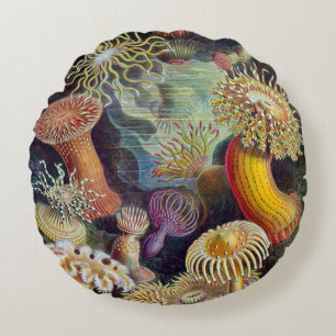 Almofada Redonda Haeckel ~ Sea Anemones Cushiks