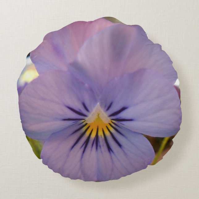 Almofada Redonda Haetzlern (Verso)