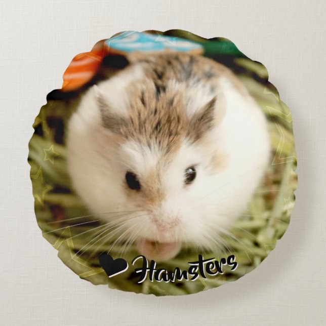 Almofada Redonda Hammyville - Hamster Bonito (Frente)