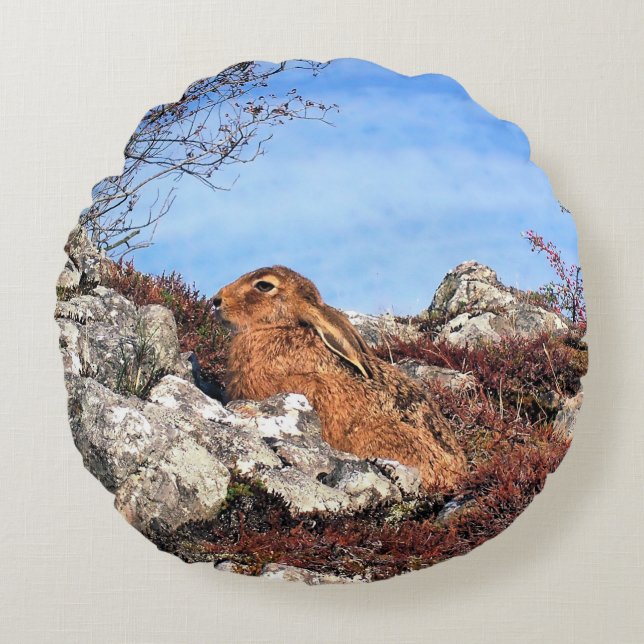 ALMOFADA REDONDA HARE (Frente)