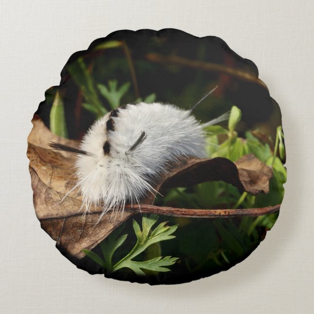 Almofada Redonda Hickory Tussock Moth (Frente)
