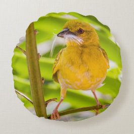 Almofada Redonda Hora de construir o ninho