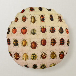 Almofada Redonda Inseto do Inseto Ladybug Ladybird Beetle