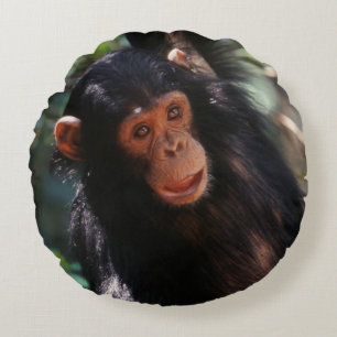 Almofada Redonda Jovem Chimpanzé