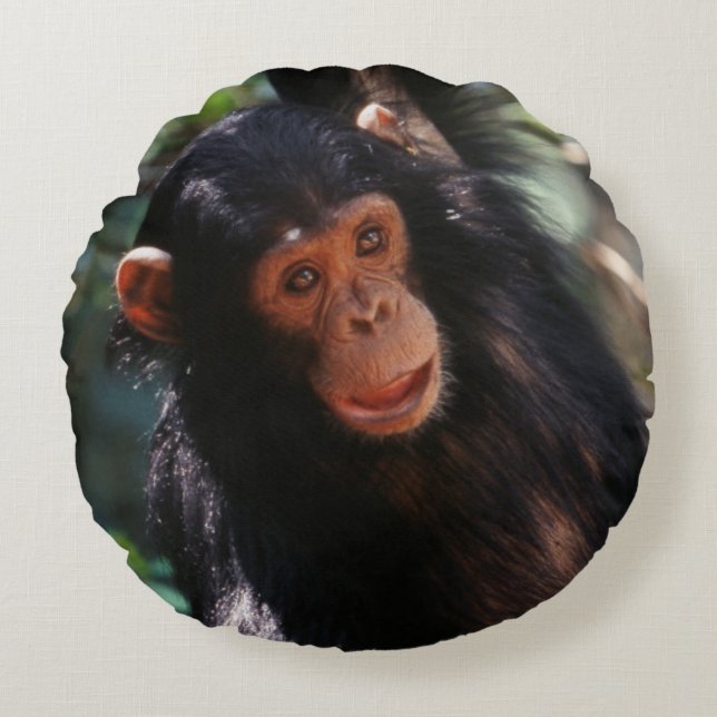 Almofada Redonda Jovem Chimpanzé (Frente)