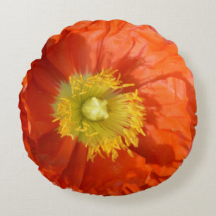 Almofada Redonda Laranja Brilhante Tangerina Paposa Flor Laranja Br
