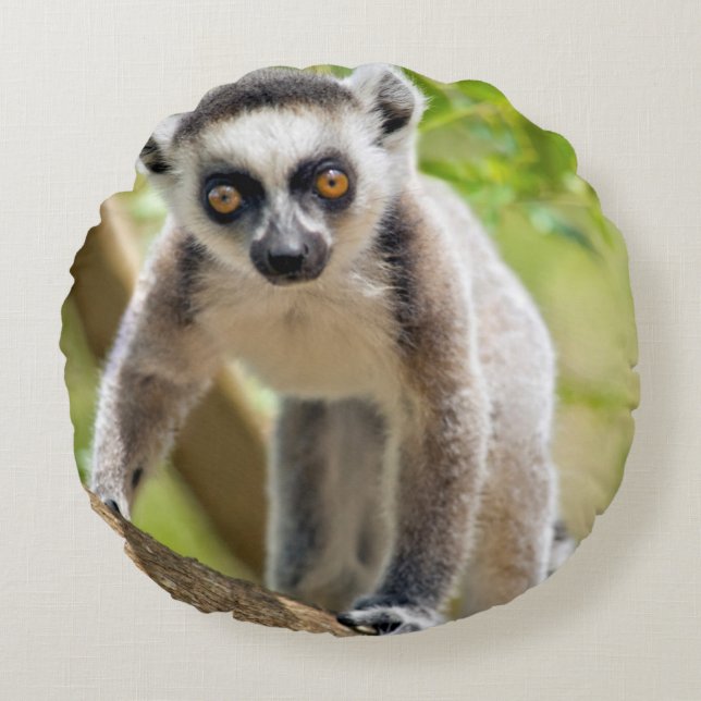 Almofada Redonda Lêmur de bébé (Frente)