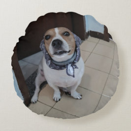 Almofada Redonda Leo, o jack russell doce e amigável