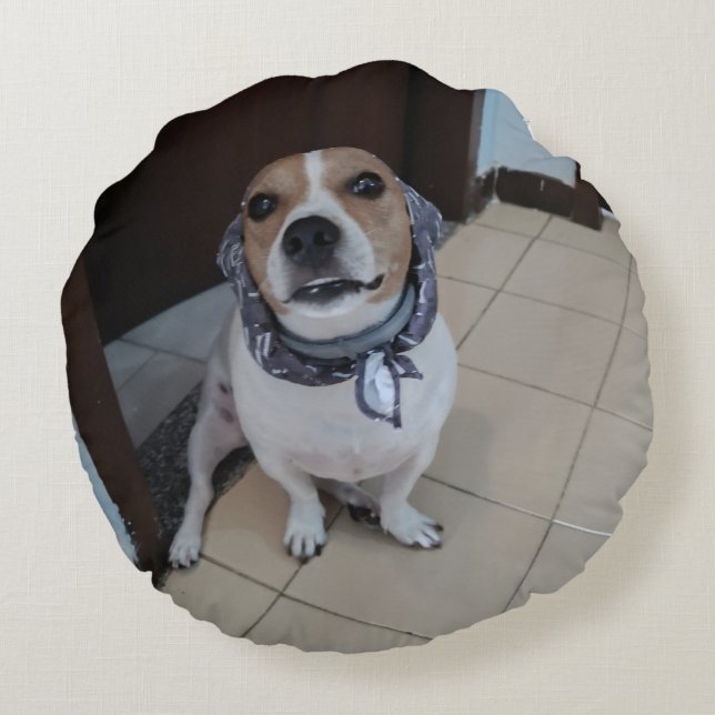 Almofada Redonda Leo, o jack russell doce e amigável (Verso)