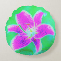 Lily, com Stargazer Rosa Quente, em Turquesa e Ver