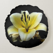 Linda Flor Amarela Elegante no Preto