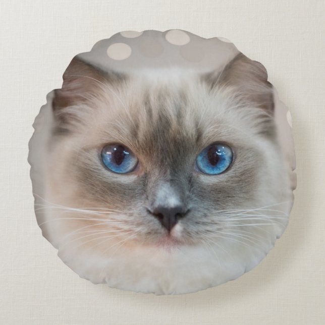 Almofada Redonda Lindo Gato Ragdoll sobre Bege (Frente)