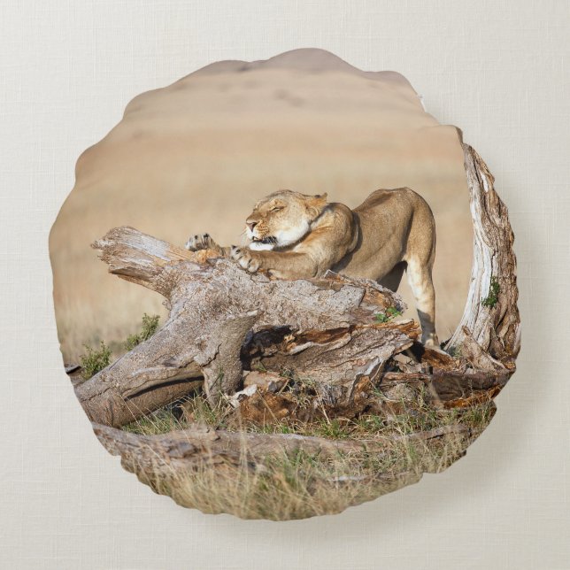 Almofada Redonda Lioness alongando (Verso)
