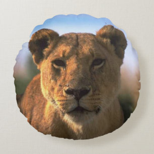 Almofada Redonda Lioness Lover Jungle
