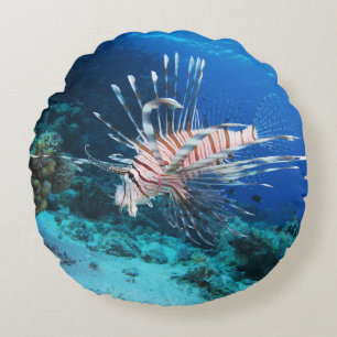 Almofada Redonda Lionfish ou Pterois Miles, Peixes de Recife do Oce