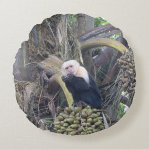 Almofada Redonda Macaco-prego-ceta-cúmulo em Travesseiro-redondo em