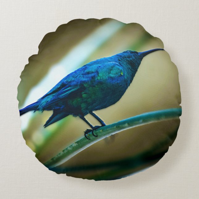 Almofada Redonda Malachite Sunbird Perked Closeup (Frente)