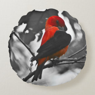 Almofada Redonda Male Scarlet Tanager