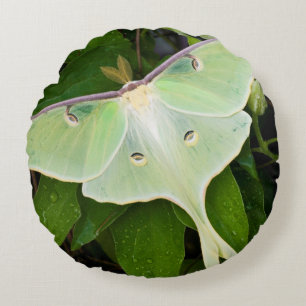 Almofada Redonda Mariposa Luna em Clematis Carnaby