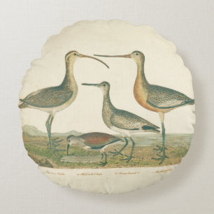 Almofada Redonda Marsh Bird Curlew Snipe Birding