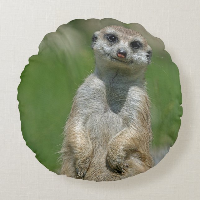 Almofada Redonda Meerkat 013 (Frente)
