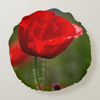 Almofada Redonda Minimalista Moderna – Decoração A