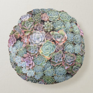 Almofada Redonda Mistura Sempervivum do jardim do Succulent