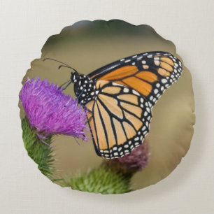 Almofada Redonda Monarca no pasto Thistle Prairie Ridge
