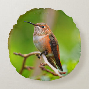 Almofada Redonda Mulher Rufous Hummingbird na Árvore de Ameixa