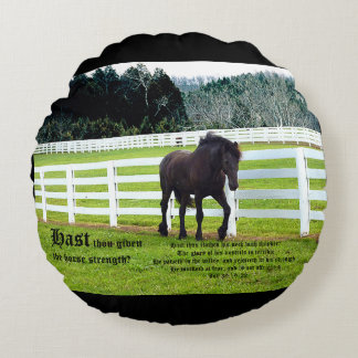 Almofada Redonda Nonesuch at Cedar Point w Job 39