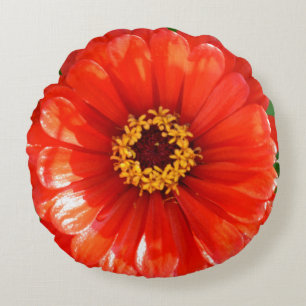 Almofada Redonda Orange Zinnia