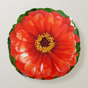 Almofada Redonda Orange Zinnia