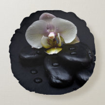 Orquídea Branca em Pedras Negras