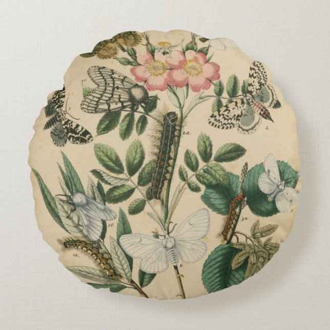 Almofada Redonda Palcos da vida da borboleta pelo Vision Studio (Frente)
