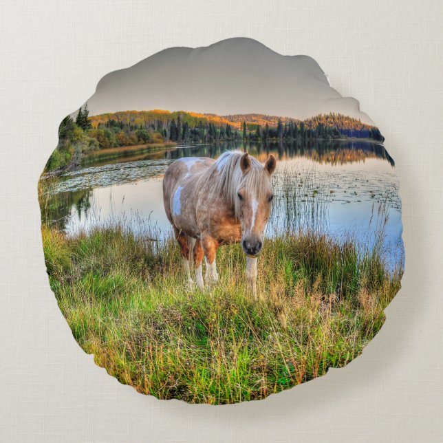 Almofada Redonda Palomino Pinto Stallion por um lago (Verso)