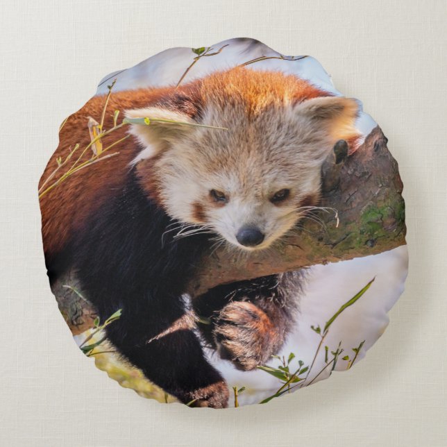 Almofada Redonda Pantaninha vermelha preguiçosa (Verso)