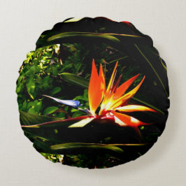 Almofada Redonda Pássaro Colorido Do Travesseiro De Flor De Paraíso