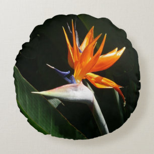 Almofada Redonda Pássaro da Flor Tropical Laranja do Paraíso
