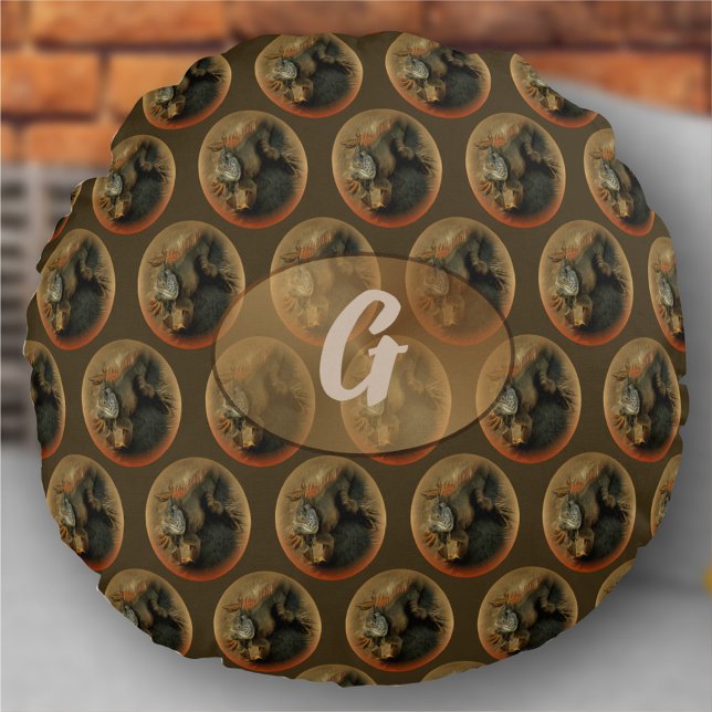 Almofada Redonda Pedro o Iguana 0768 (Criador carregado)