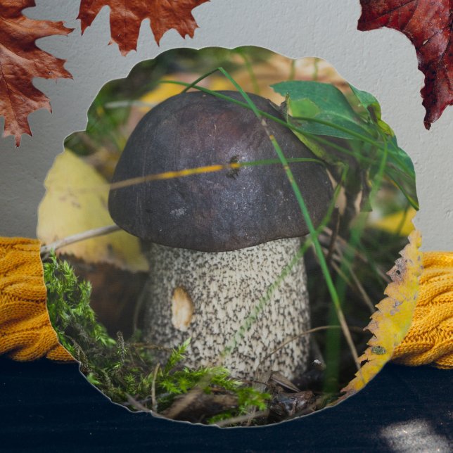 Almofada Redonda Pequeno cogumelo bonito (Criador carregado)