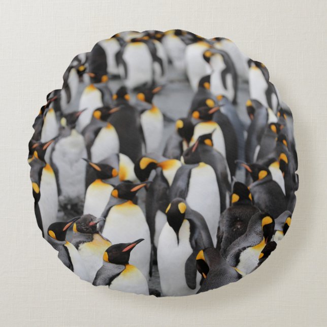 ALMOFADA REDONDA PINGUINS (Frente)