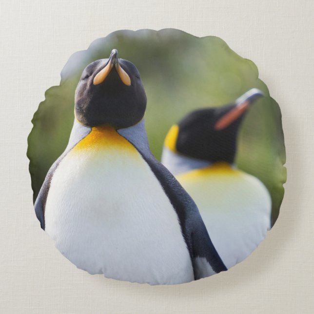 Almofada Redonda Pinguins-rei (Frente)