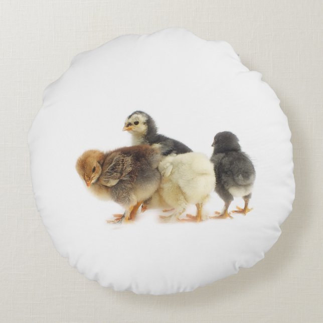 Almofada Redonda pintinhos (Verso)