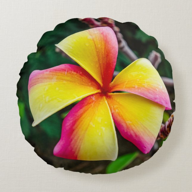 Almofada Redonda Plumeria rubra (Frente)