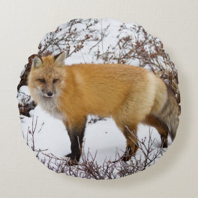 Almofada Redonda Raposa Vermelha na neve no inverno (Frente)